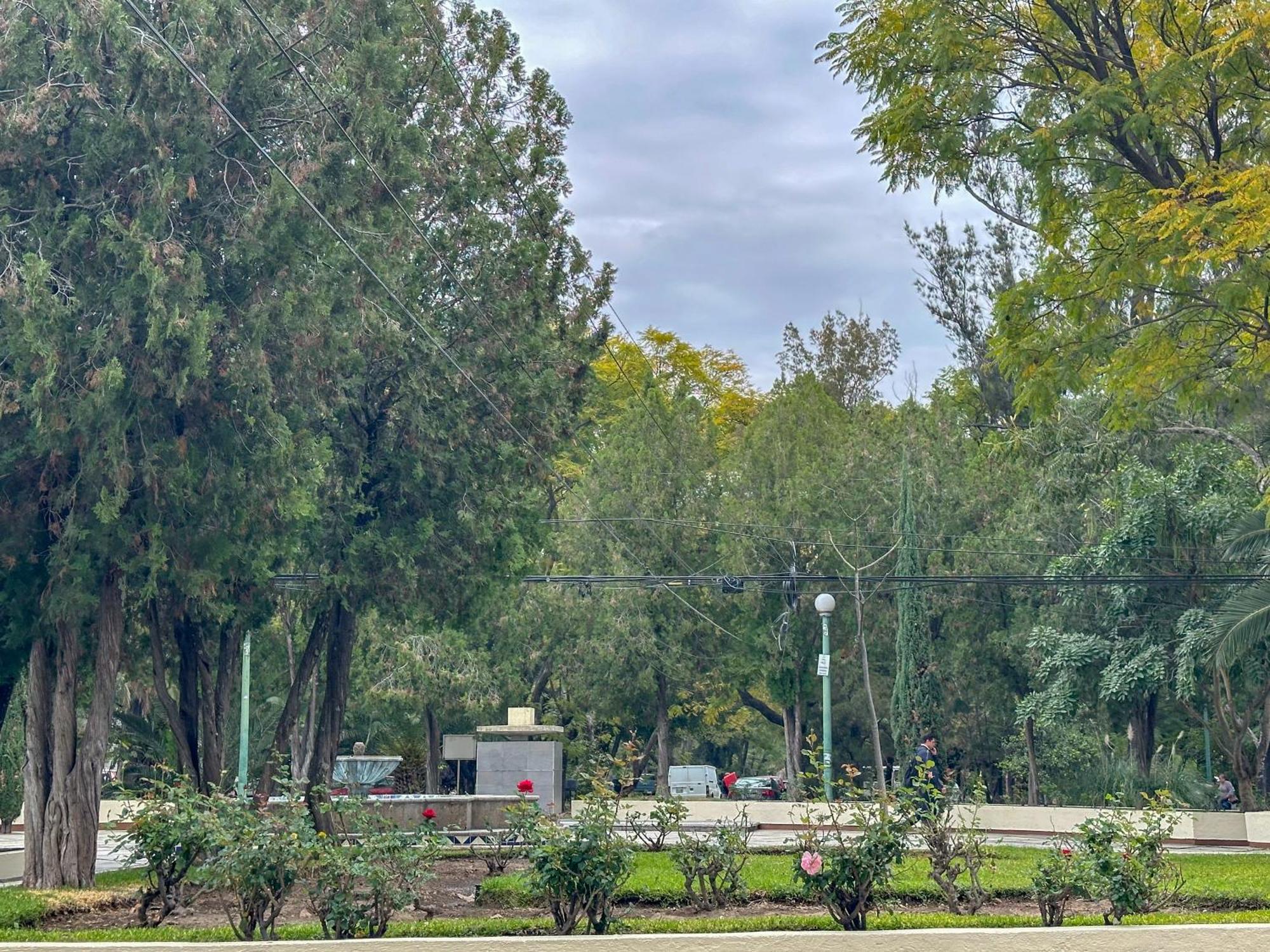 Estudio En Chapalita Estilo Y Confort Total 03 Guadalajara Exteriér fotografie
