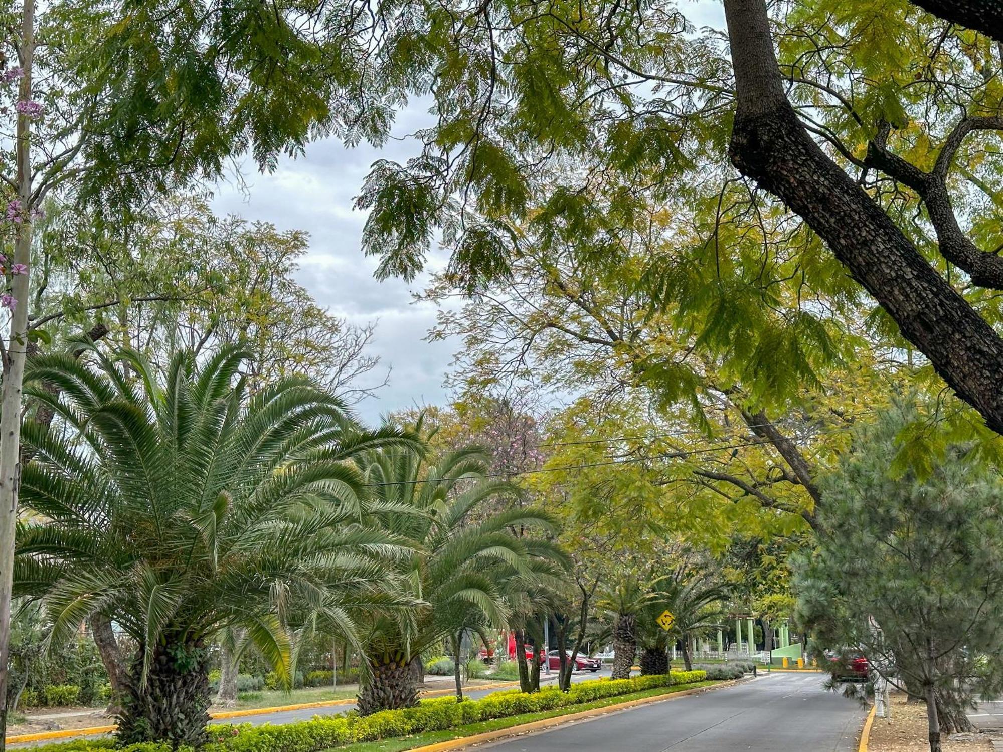 Estudio En Chapalita Estilo Y Confort Total 03 Guadalajara Exteriér fotografie